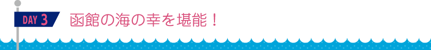 （DAY3）函館の海の幸を堪能！