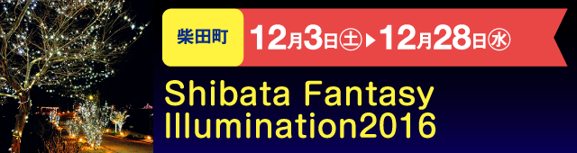 Shibata Fantasy Illumination2016
