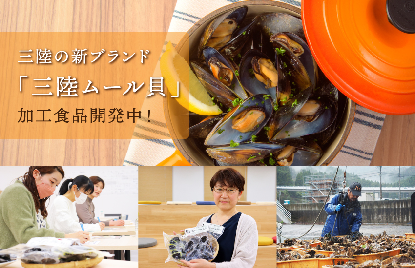 三陸の新ブランド「三陸ムール貝」加工食品開発中！