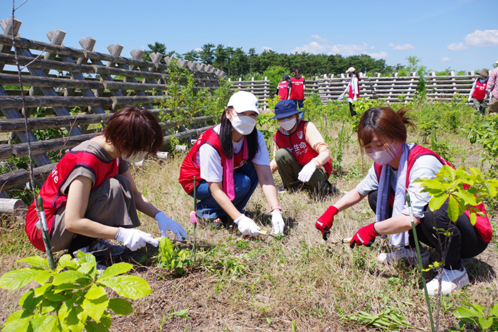 「ふるさとの杜再生プロジェクト（仙台市主催）」の様子