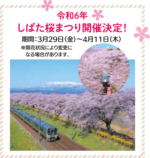 2024/3/29（金）～4/11(木)令和6年 しばた桜まつり