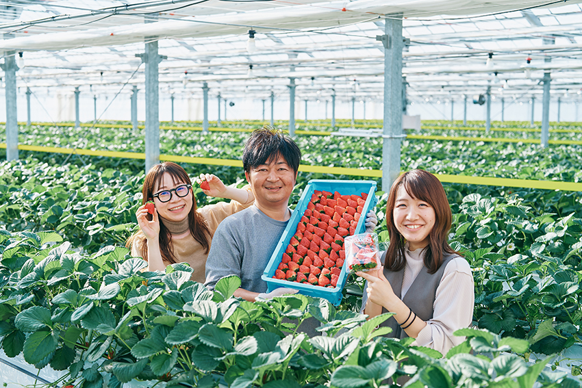 「仙台いちご」のおいしい食べ方を生産者にインタビュー！