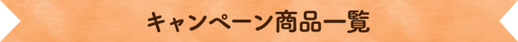 キャンペーン商品一覧