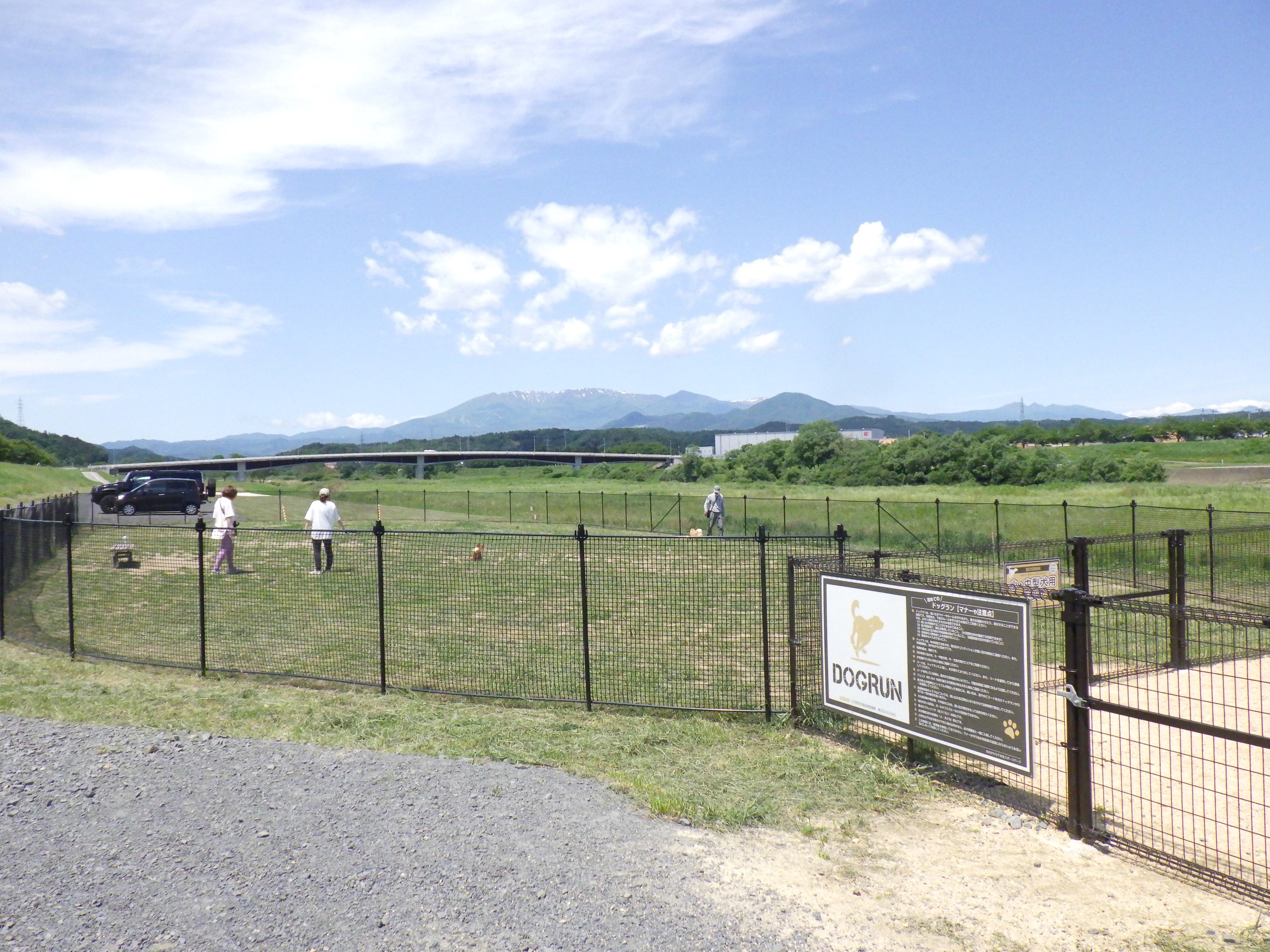 都市公園「おおがわら千本桜スポーツパーク」