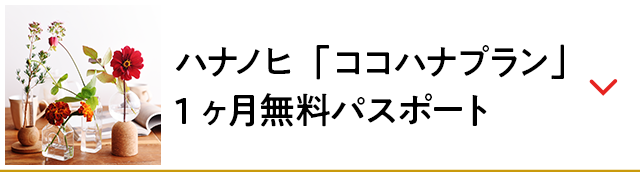 ハナノヒ「ココハナプラン」1ヶ月無料パスポート