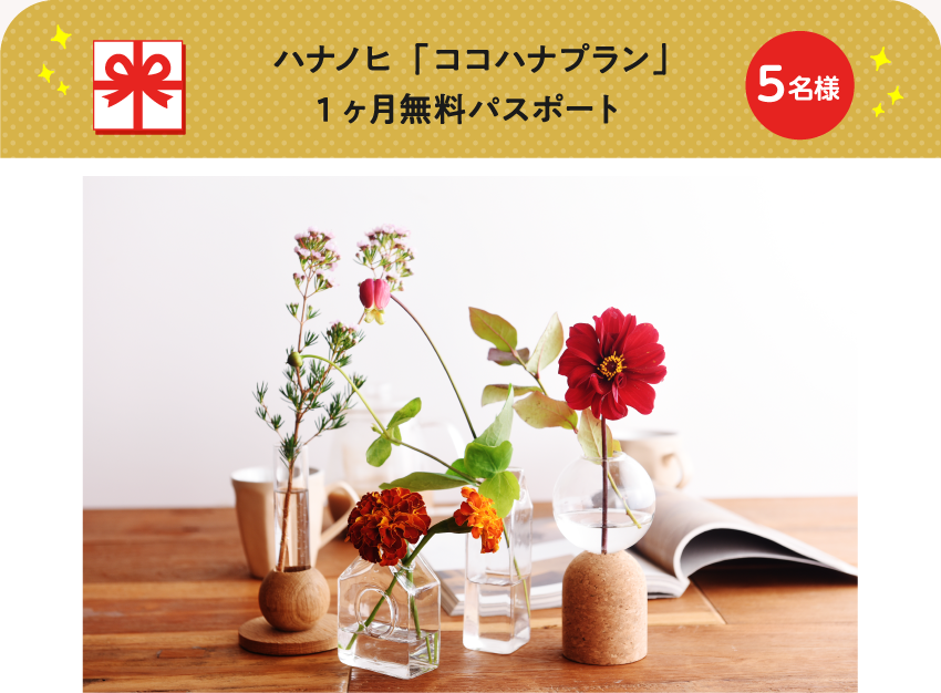 ハナノヒ「ココハナプラン」1ヶ月無料パスポート【5名様】