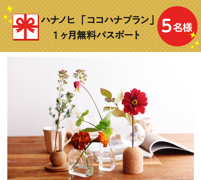 ハナノヒ「ココハナプラン」1ヶ月無料パスポート【5名様】