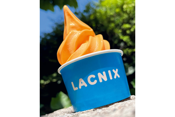 LACNIXソフトクリーム　1回無料券