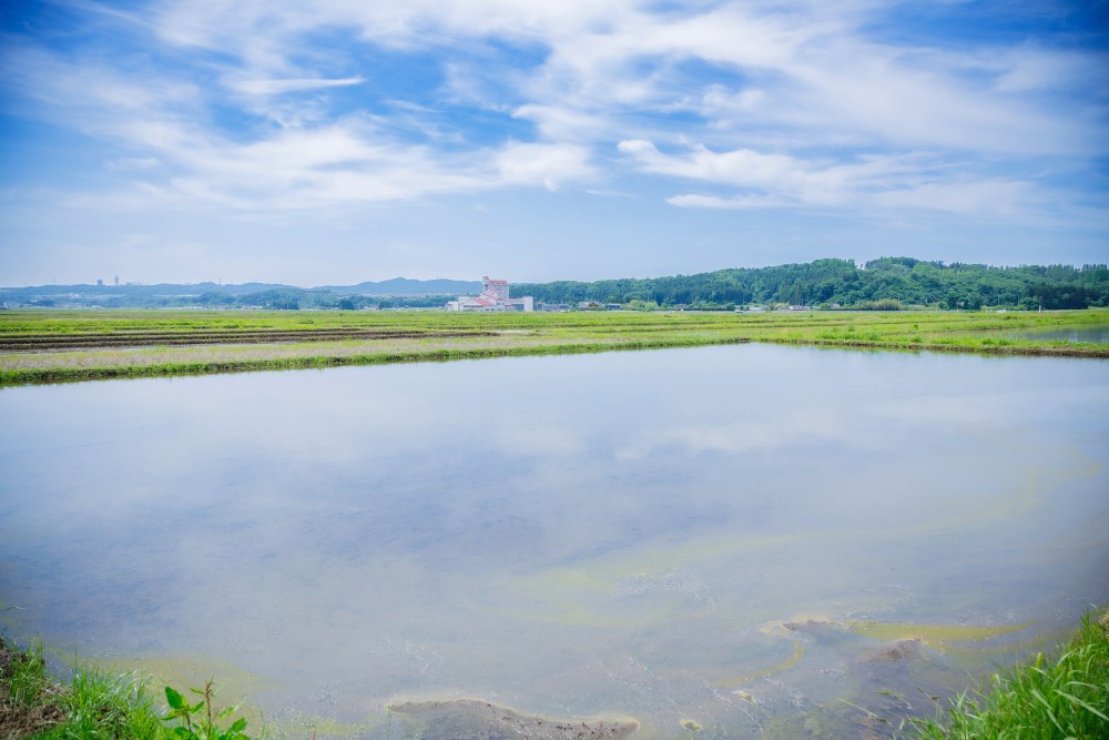 泉ヶ岳ふもと　すずめ農園