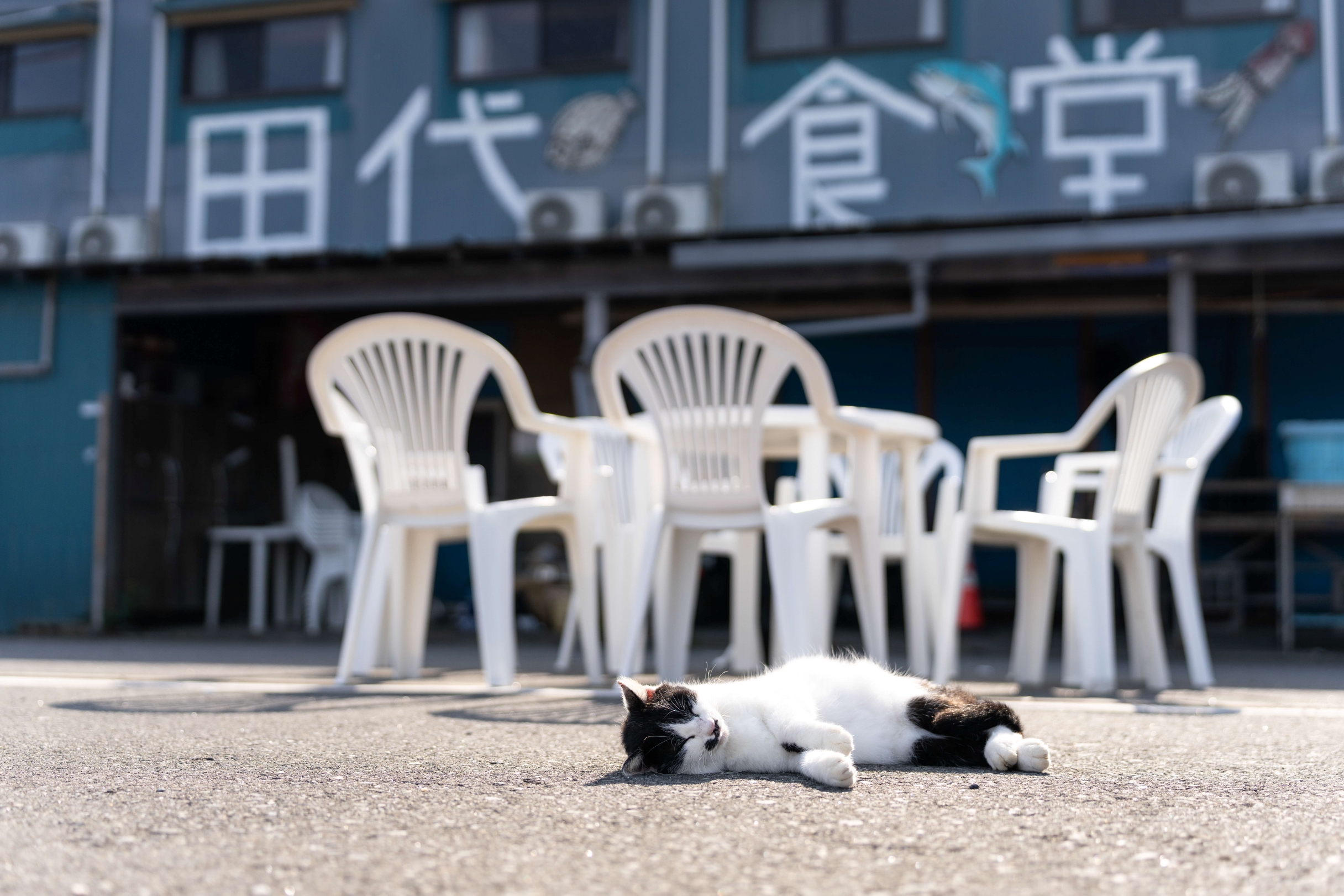 田代島