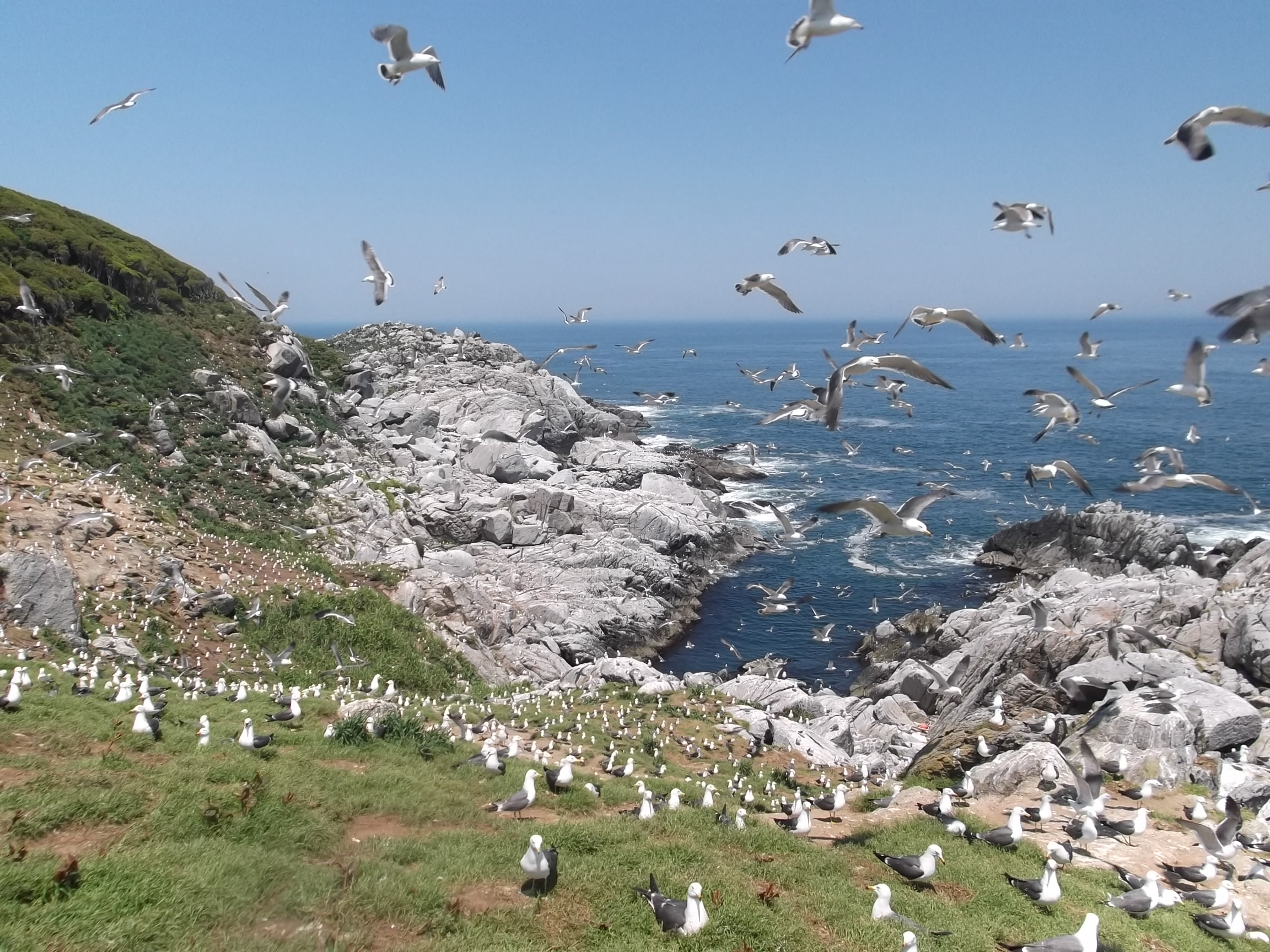 江島