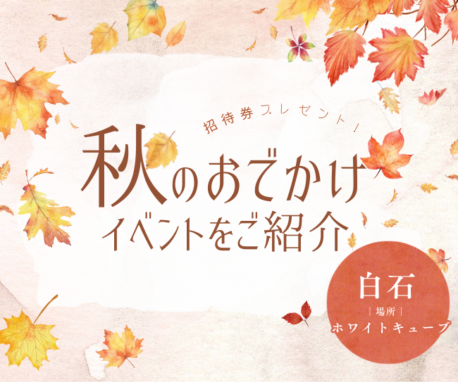 「ホワイトキューブ」