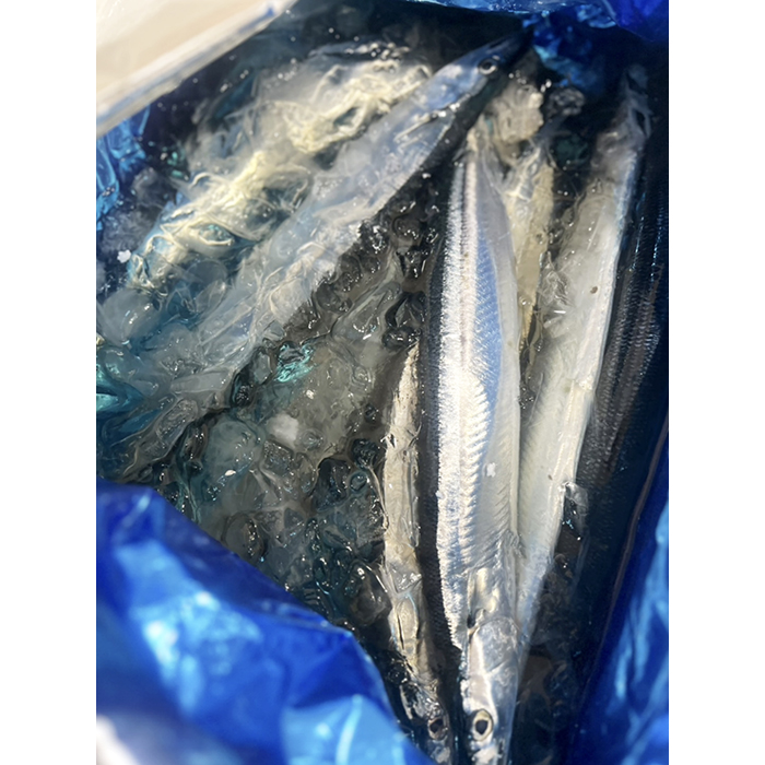 炭 森 海 きんぞう 一番町店