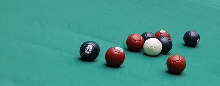 一般社団法人仙台市障害者スポーツ協会イメージ