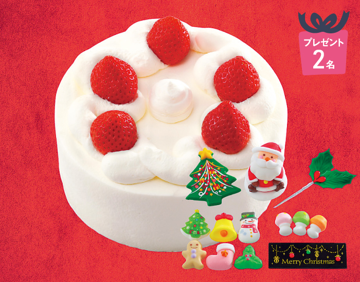 [プレゼント2名様]パティシエ気分のクリスマスケーキ
