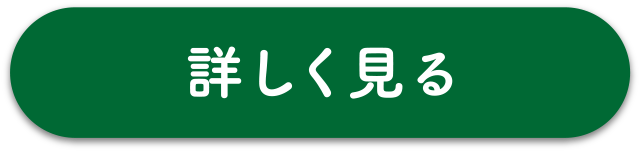 詳しく見る