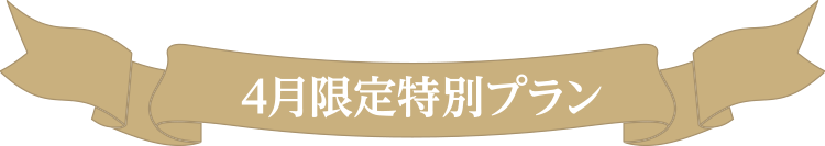 4月限定特別プラン