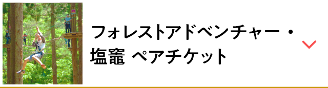 フォレストアドベンチャー・塩竈 ペアチケット