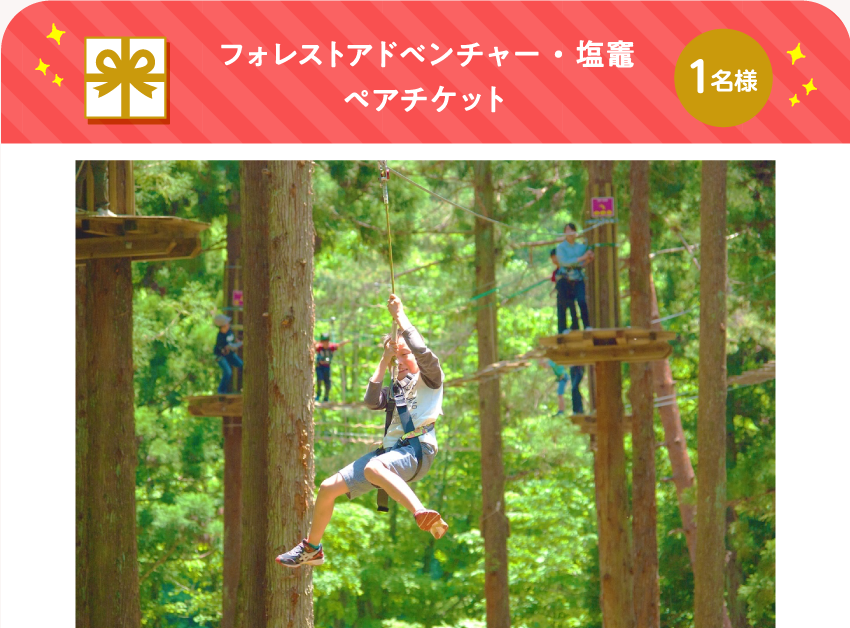 フォレストアドベンチャー・塩竈 ペアチケット【1名様】