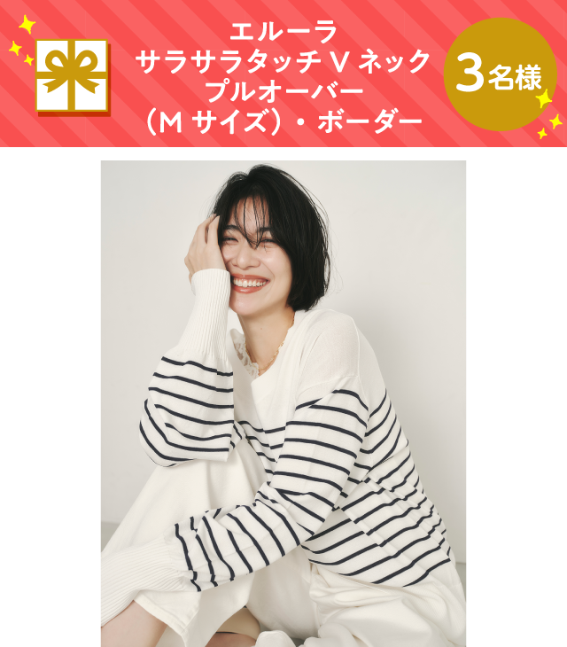 エルーラ サラサラタッチVネックプルオーバー（Mサイズ）・ボーダー【3名様】