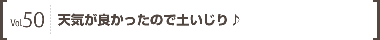 Vol.50 天気が良かったので土いじり♪