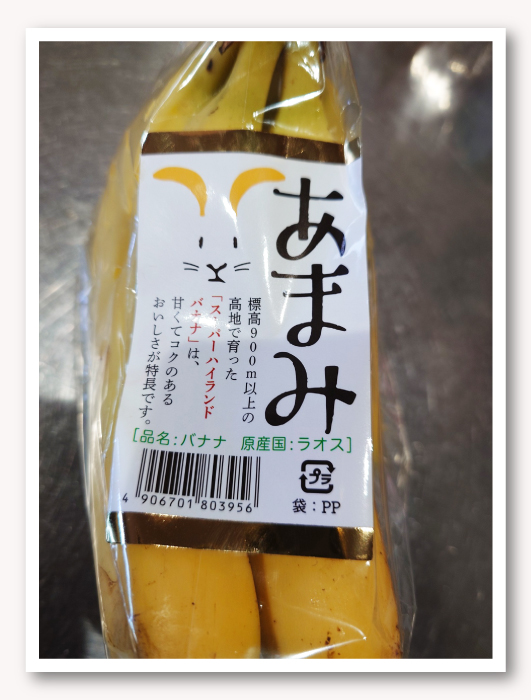 写真01