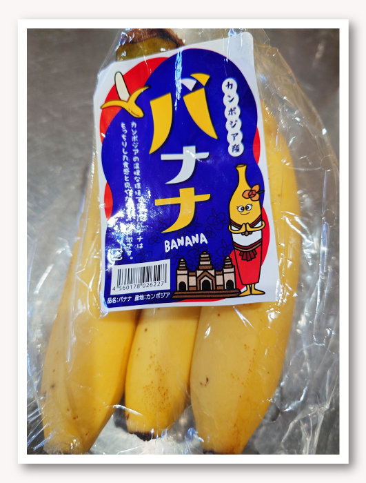写真02