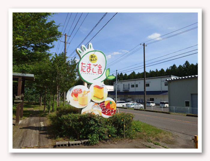写真07