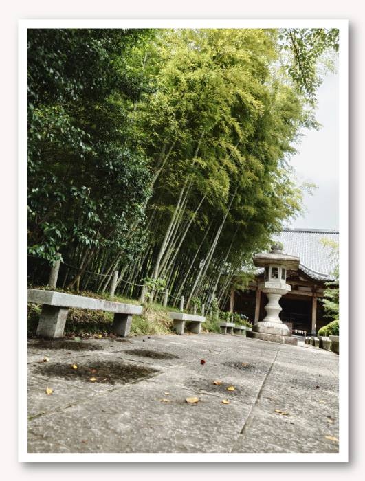 写真02
