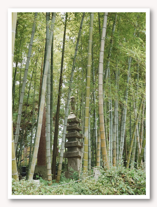 写真05