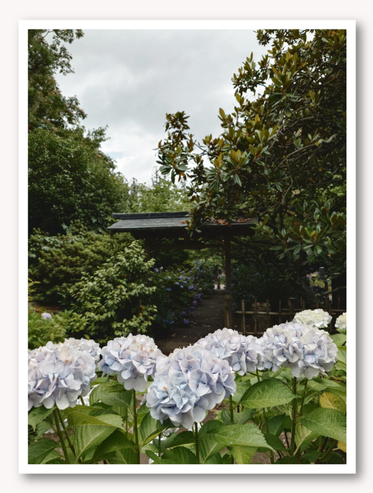 写真07