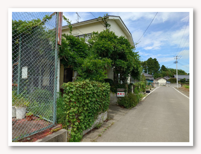 写真05