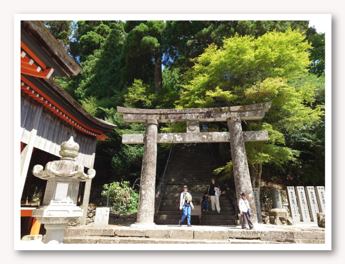 写真10